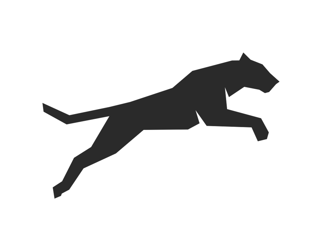 Фасциальный тренинг  <span class="highlighted">Роберта Шляйпа</span>